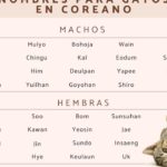 24 nombres apodos coreanos lindos para usar con tu amigoa