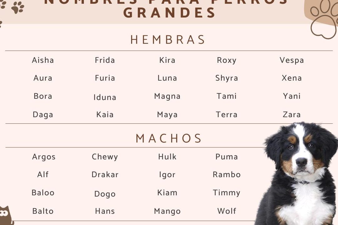 26 apodos divertidos para el nombre vanessa encuentra el perfecto para ti