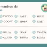 33 apodos divertidos para personas con brackets ideas y sugerencias