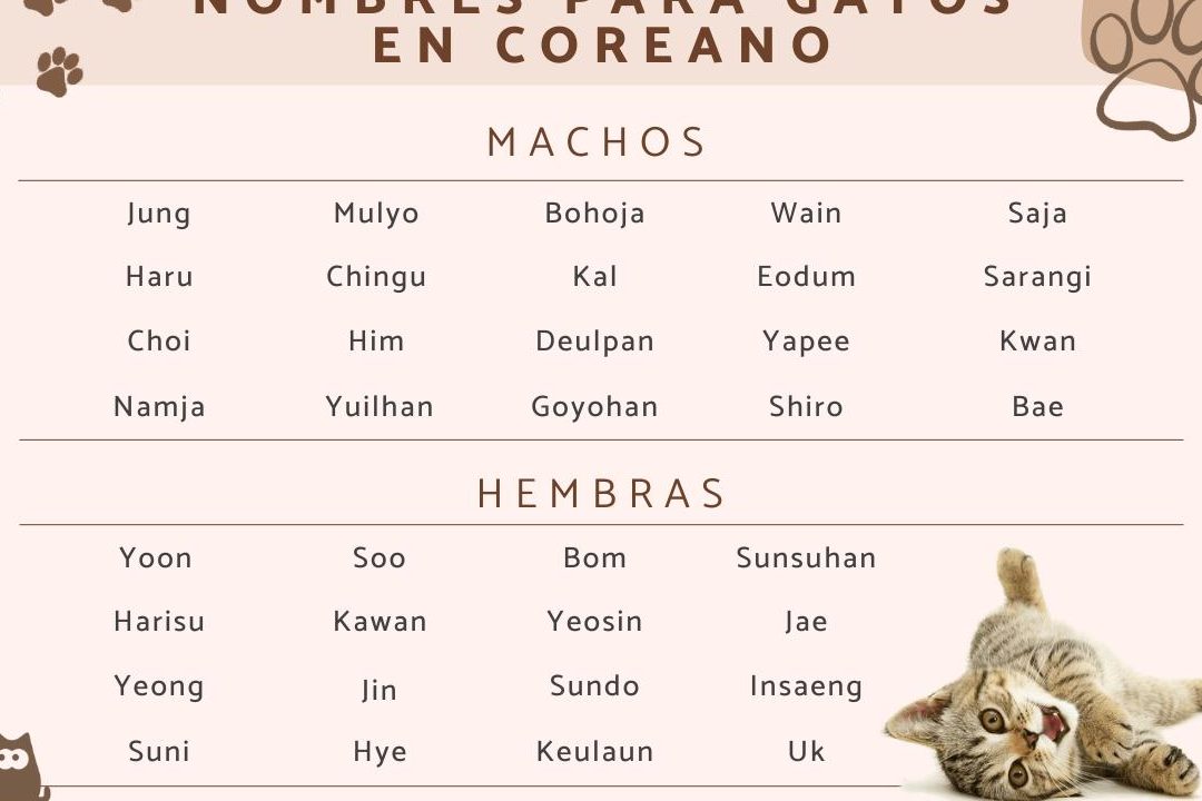 36 apodos coreanos divertidos e inventivos para tu novia