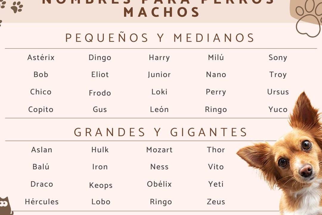 27 apodos para amigos hombre y mujer descubre los nombres mas divertidos para tu pandilla