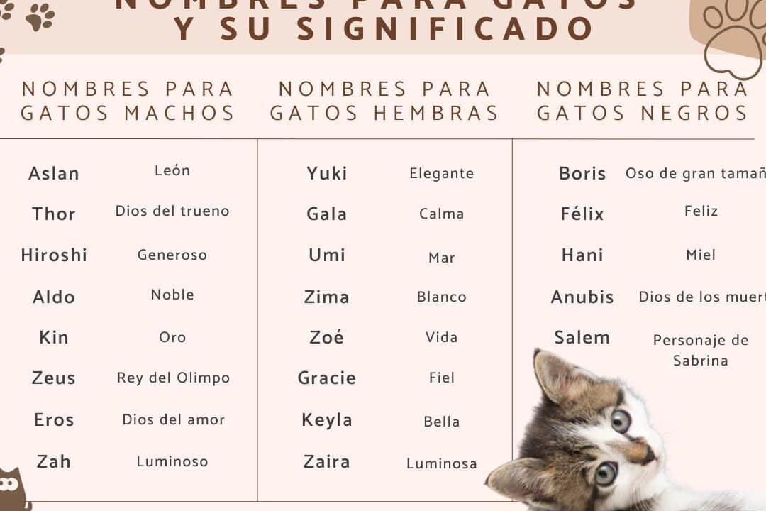 descubre 25 apodos en coreano y su significado para tus amigos