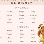 descubre los 34 apodos de disney mas adorables para tu novio