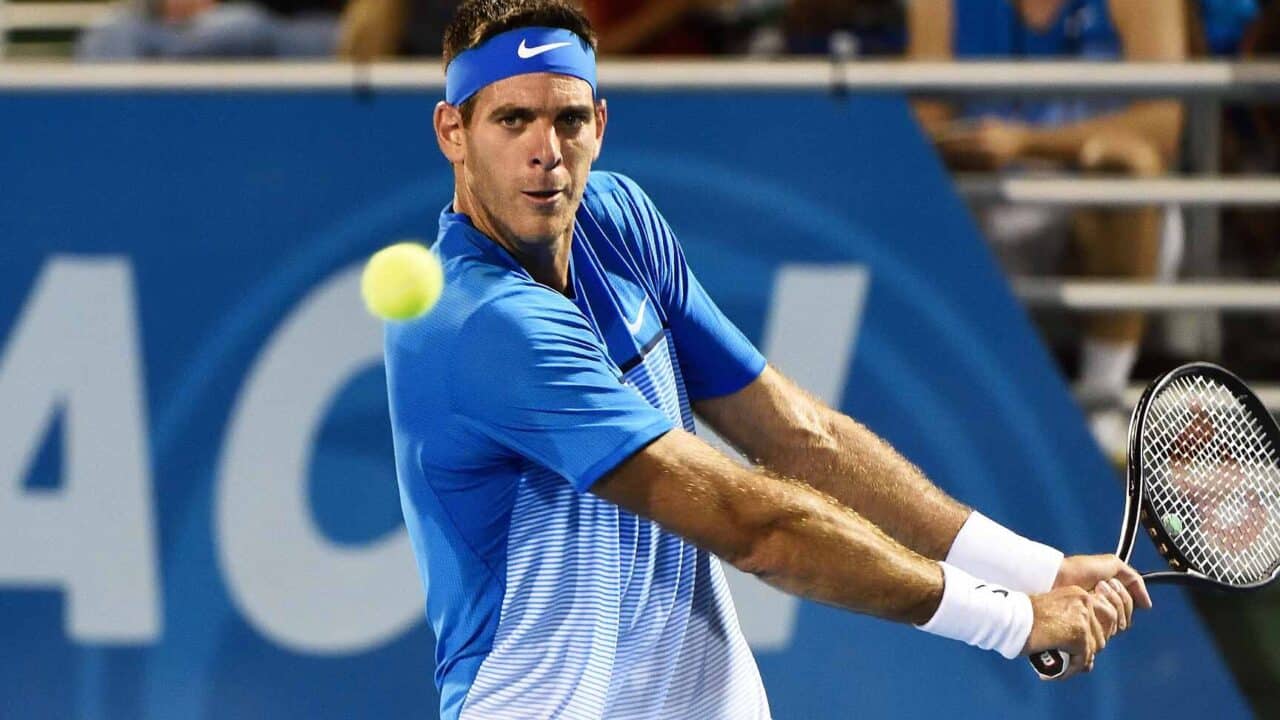 27 apodos del tenista juan martin del potro descubre la historia detras de estos nombres famosos