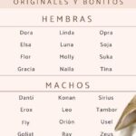 29 apodos originales y graciosos para mi amiga diviertete encontrando el perfecto