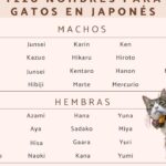 30 apodos adorables en japones para tu novio descubre la ternura nipona