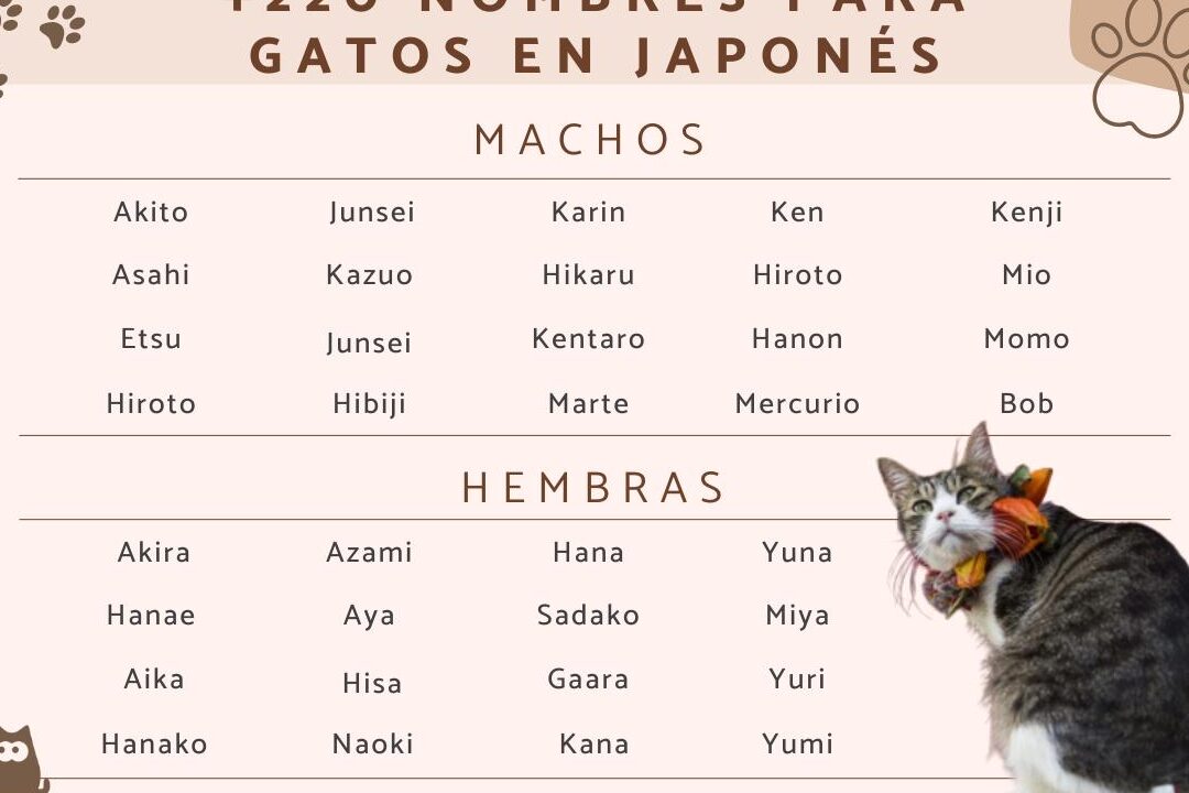 30 apodos adorables en japones para tu novio descubre la ternura nipona