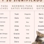 34 apodos creativos y originales para el nombre kristel descubre como llamar a tu amiga de una manera divertida y unica