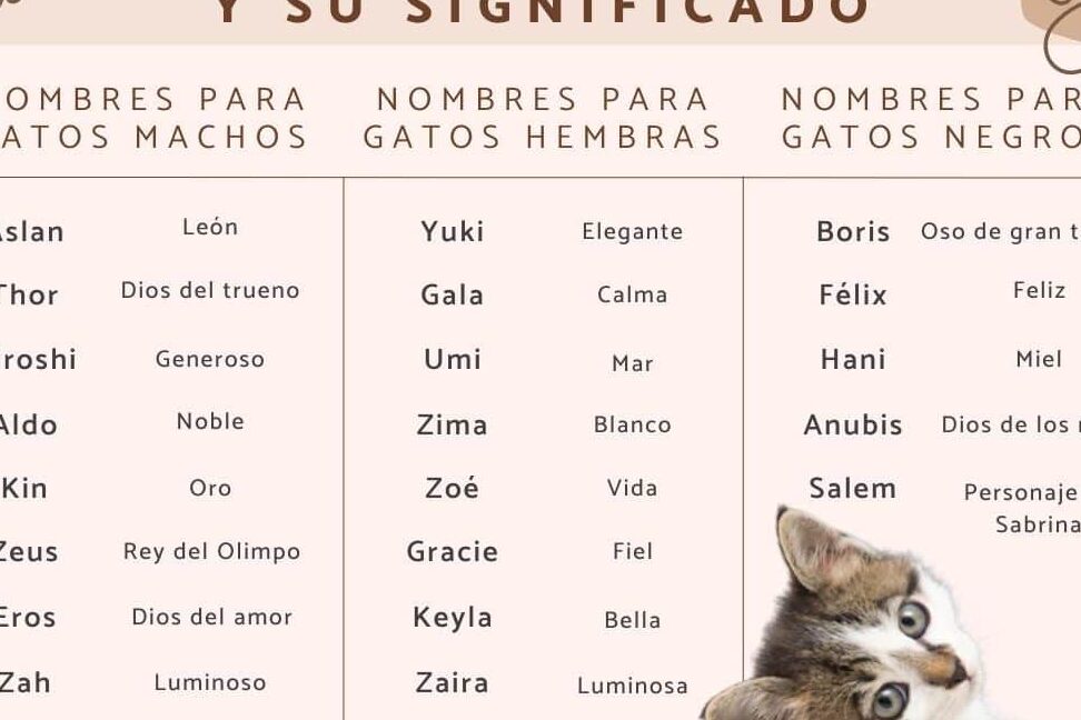 34 apodos creativos y originales para el nombre kristel descubre como llamar a tu amiga de una manera divertida y unica