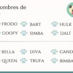 los 33 apodos mas divertidos y originales para las mujeres con curvas