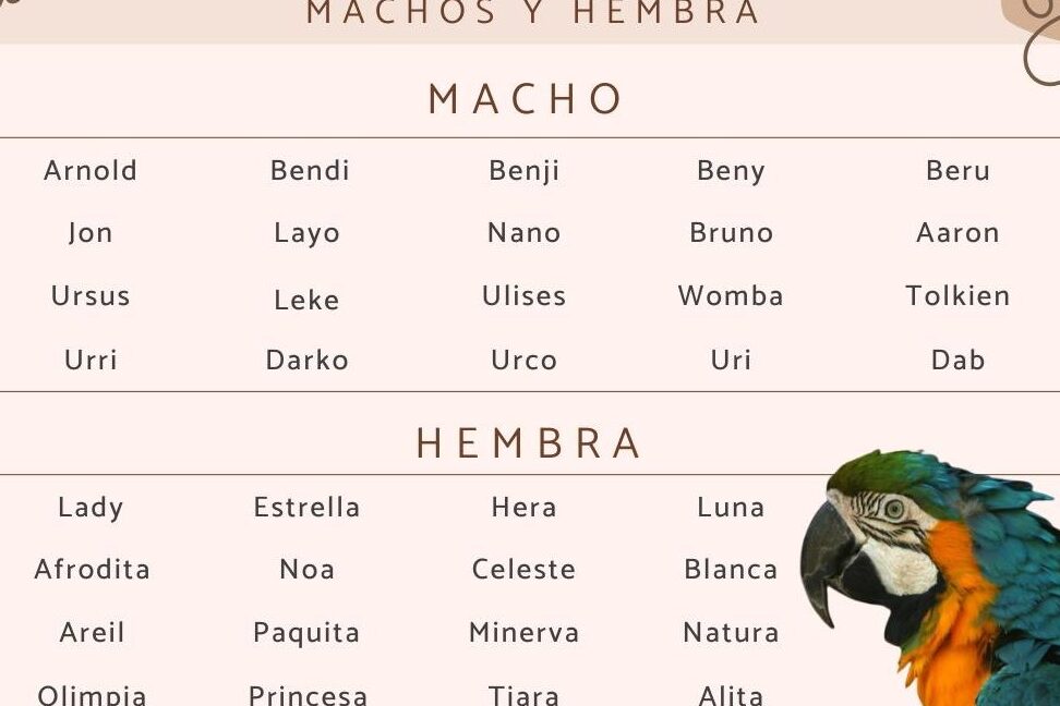 29 apodos creativos y divertidos para usar en forma de broma