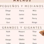 33 apodos creativos y divertidos para el nombre de erick descubre los mejores sobrenombres para erick