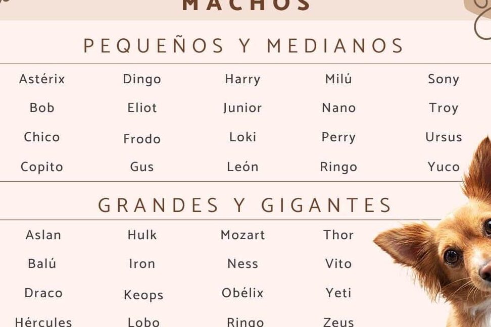 descubre los 28 apodos con acento que te haran reir