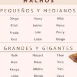 26 apodos creativos y divertidos para morgan encuentra el apodo perfecto