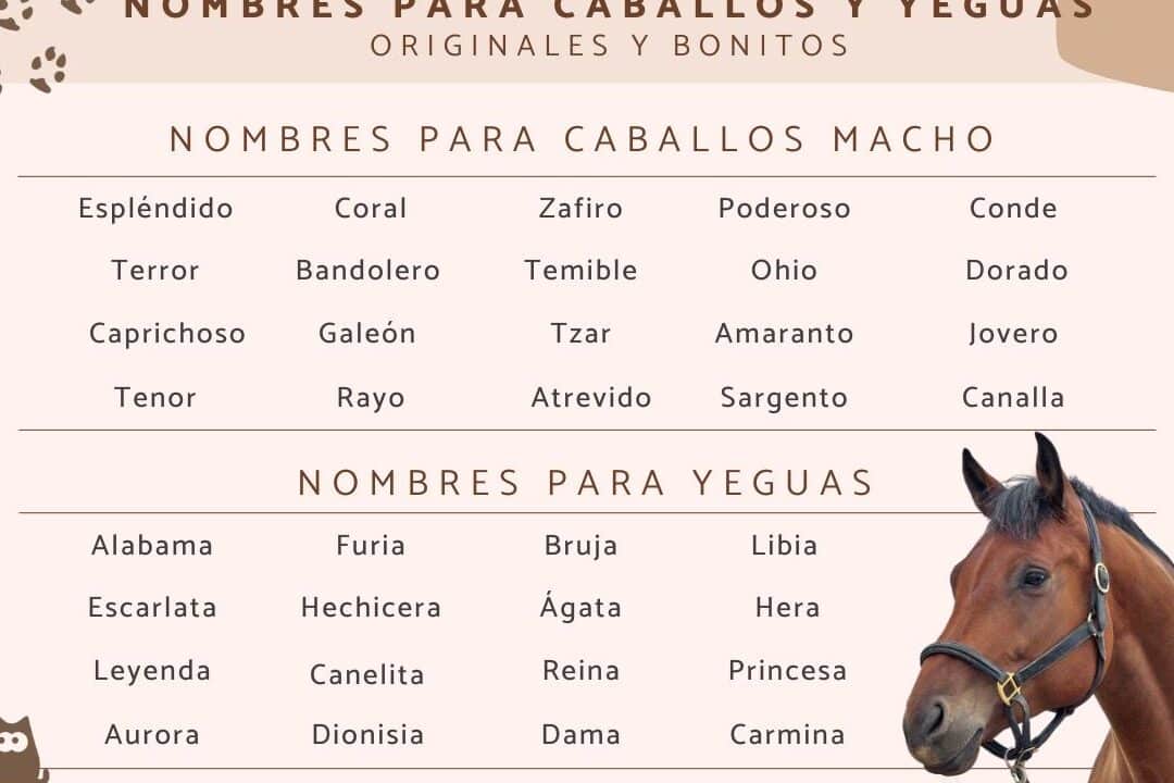 30 apodos originales para amigos vaqueros descubre los sobrenombres mas divertidos para tus compadres del oeste