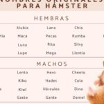 28 apodos divertidos y originales para chicas llamadas olivia descubre como llamar a tu amiga de forma unica