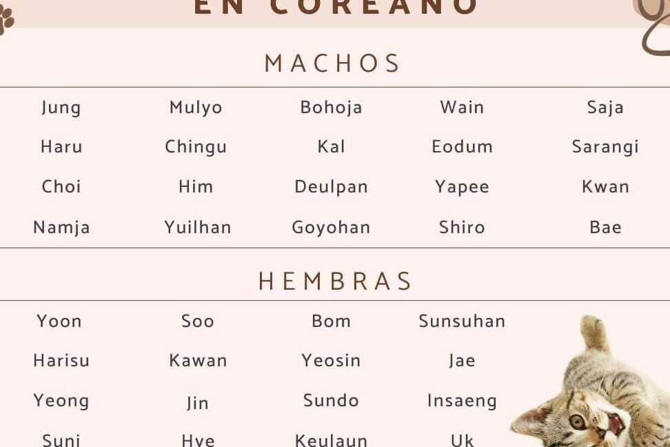 descubre 29 apodos lindos para mujeres en japones encuentra el perfecto para ti