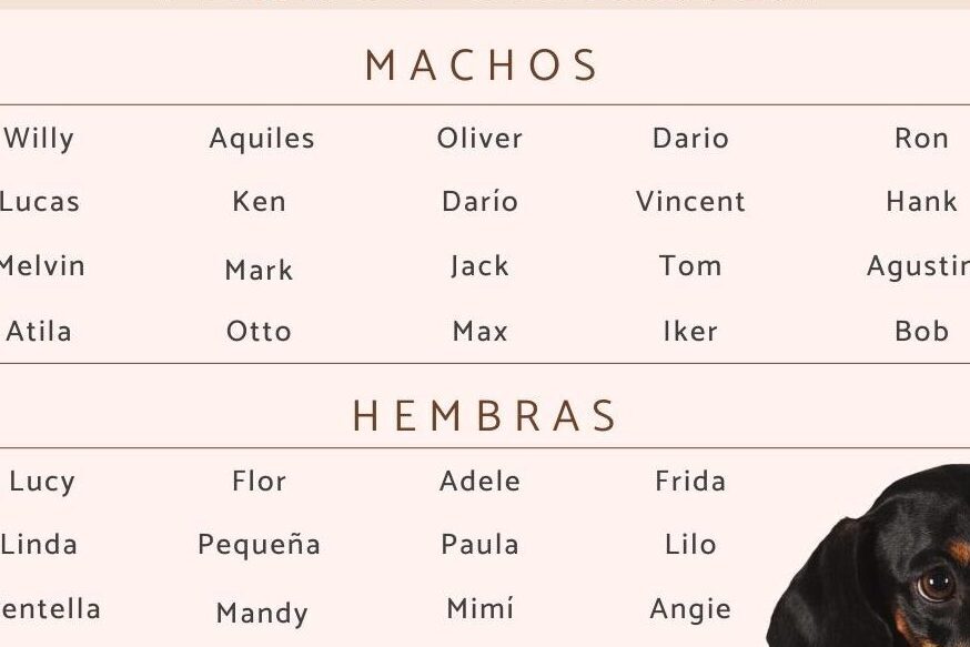 descubre los 25 apodos mas carinosos y lindos para tu mama