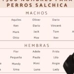 26 adorables apodos para bebes con cabello negro encuentra el nombre perfecto para tu pequeno tesoro