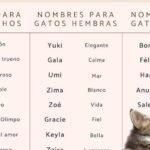 27 apodos creativos y originales para anahi azucena encuentra el apodo perfecto