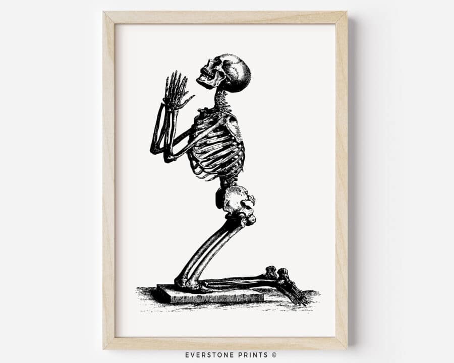 29 apodos creativos y divertidos para esqueletos encuentra el mejor nombre para tu skeleto